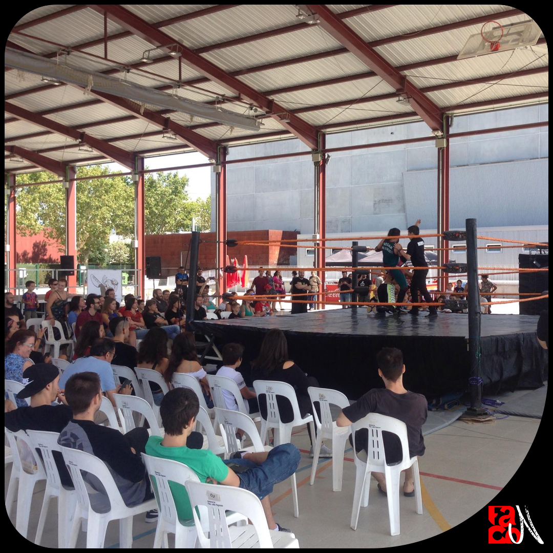 Público al voltant d'un ring veient l'espectacle de wrestling